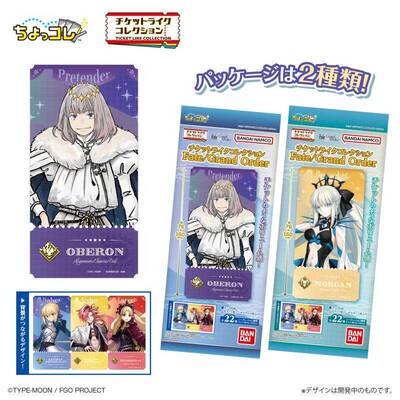 限购5/预定 FGO Fate Grand Order 门票风塑料PET卡片 日谷周边