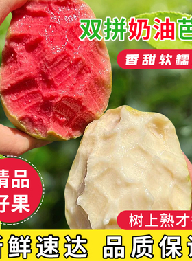 红白混搭装广西产地番石榴芭乐软心糯香甜新鲜现摘发【红心偏小】