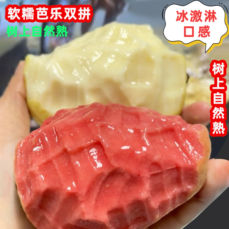 广西现货番石榴红白双拼组合奶油软糯香甜新鲜应季自然成熟芭乐果