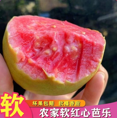 广西红心芭乐软糯香甜软心番石榴奶油芭乐老树新鲜现摘巴乐果5斤