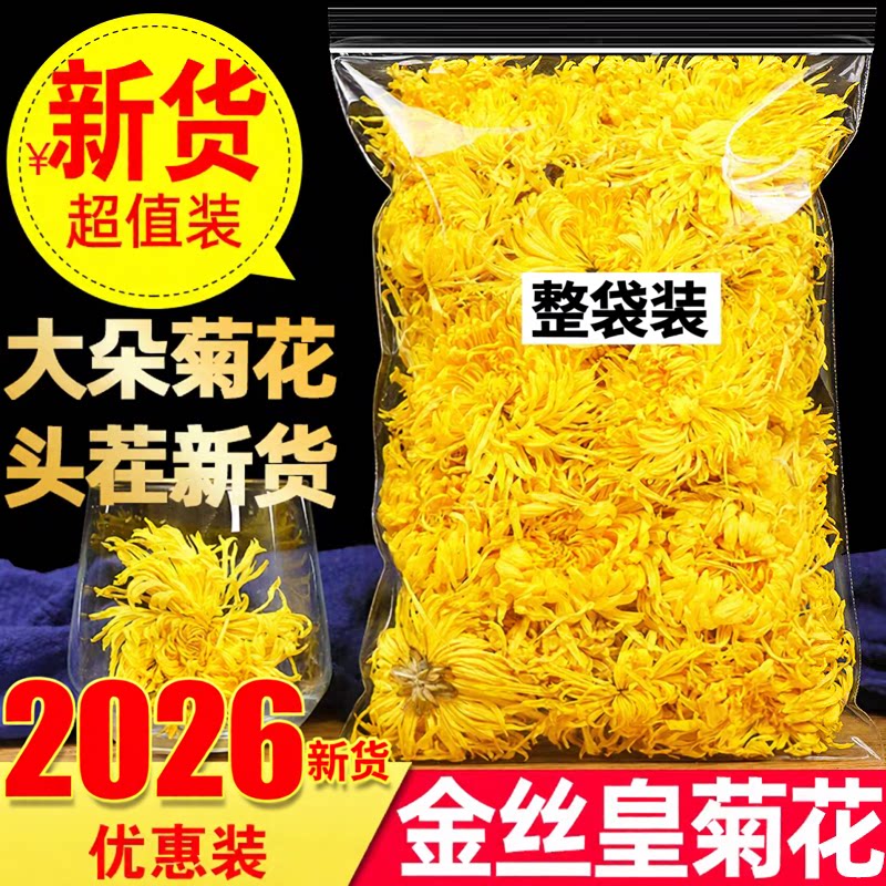 金丝黄菊皇菊非特级大菊花一朵一杯黄菊黄山贡菊菊花茶下火花草茶