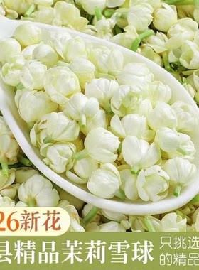 2026新花横县精品茉莉雪球花茶