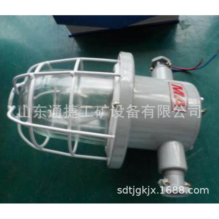 DGS60防爆白炽灯 DGS60防爆白炽灯 DGS-60原KBB系列隔爆型白炽灯