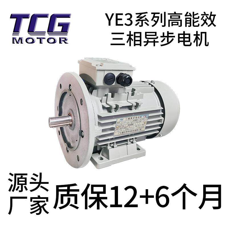 台创YE3三相异步高能效电动机 TCG三级能效IE3电机 精工冷轧铜片