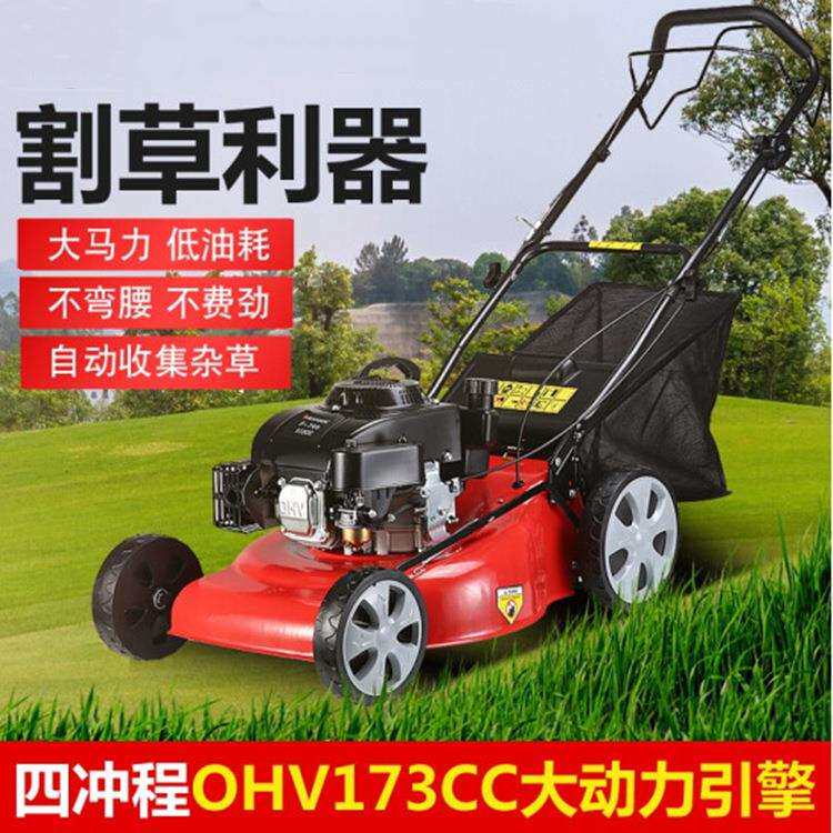 小型汽油花园手推式割草机 20寸家庭用草坪机 园林用草坪修剪机