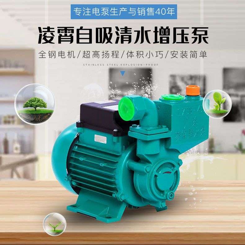 广东凌霄1ZDB35/45/65-B自吸清水泵家用自来水全自动增压泵抽水机