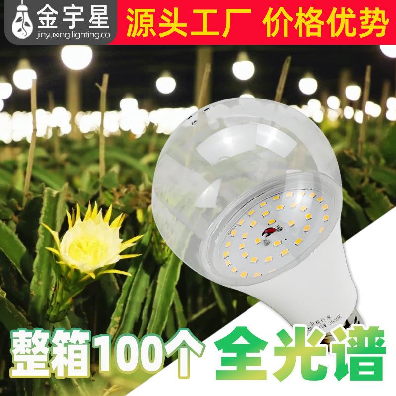 火龙果百香果户外菊花灯花卉补光灯全光谱led球形植物生长灯大棚