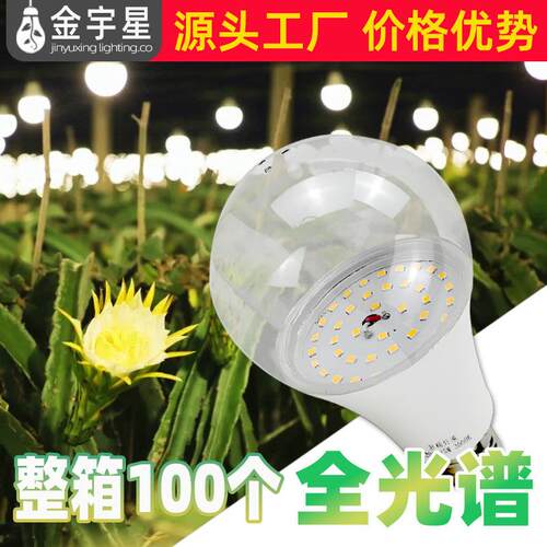 火龙果百香果户外菊花灯花卉补光灯全光谱led球形植物生长灯大棚