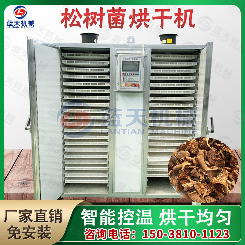 广西松树菌烘干机全自动小型松毛菌铆钉菇烘干箱松针菇烘干设备