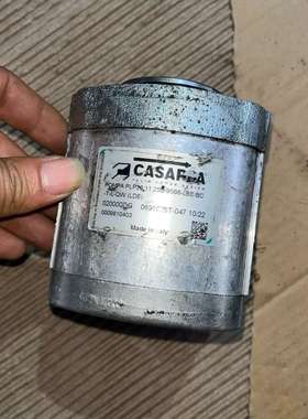 意大利Casappa卡萨帕 Gear Motor PLM20议价