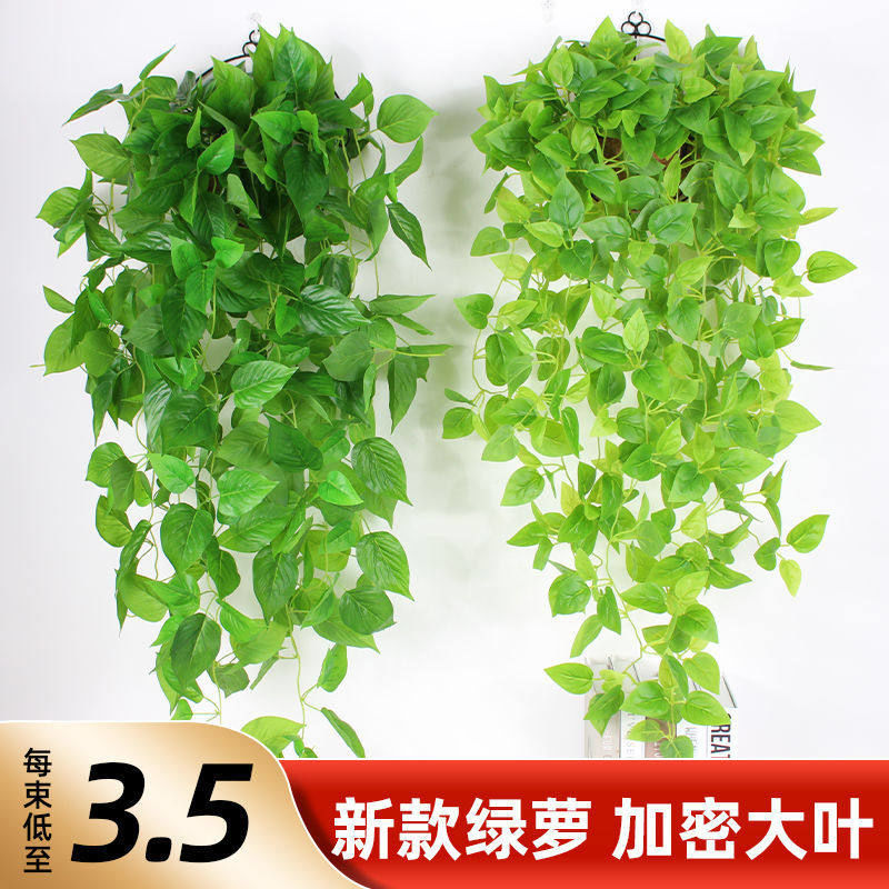仿真植物壁挂吊篮假花藤条藤蔓绿植室内阳台客厅墙面装饰绿萝吊兰图片