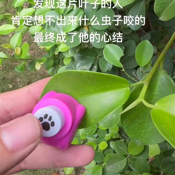 卡通掌可爱案创意迷你压花器图打孔器小号熊儿童玩具印花机压花