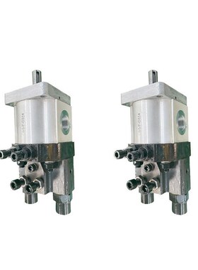 CBS-D306/D304/mD308液压D310双向D312齿轮泵D316/D318/D320/D325