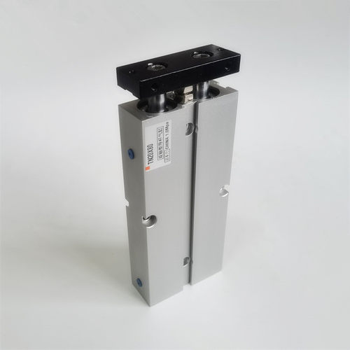 双轴气缸TN10XTN16X50/60/75X80X90X100X125X150x175-200*225-S-H