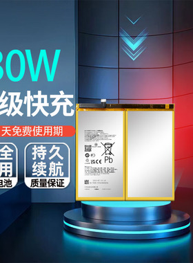 适用于OPPO Realme真我 pad X RMP2107/2108 BLT005全新平板电池