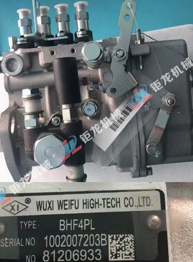 BHF4PL高压喷油泵总成1002007203B燃油泵 柴油喷射泵