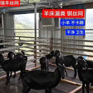 热镀锌钢丝网羊床漏粪钢丝网铁丝网狗笼子底网养殖不锈钢围栏网