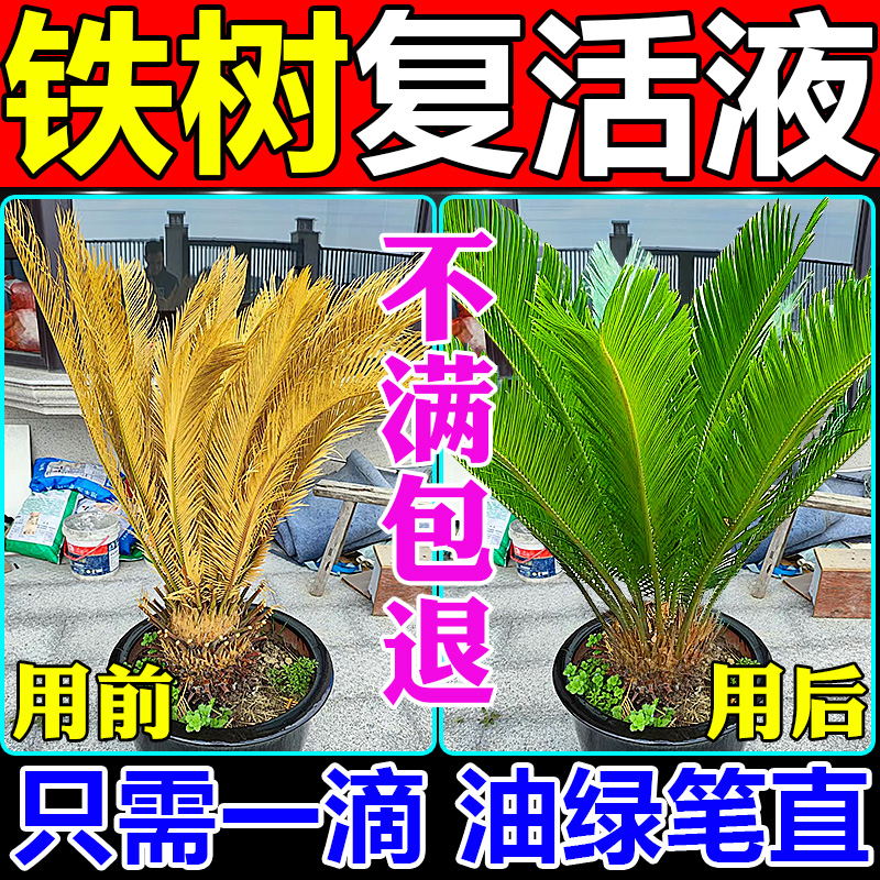 铁树复活液叶子发黄枯萎专用肥料植物叶面营养强力生Y根药水一喷