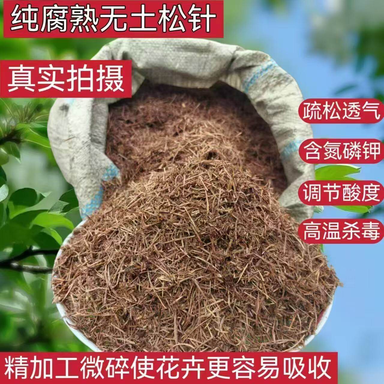 纯松针腐熟纯天然腐殖土