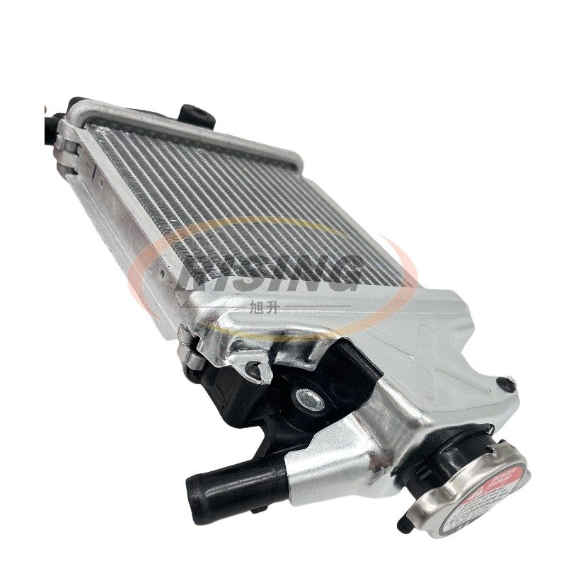 适用龙嘉SixtiesLJ150T-3G维多利亚Sixties150Si水冷水箱总成,摩托车/装备/配件,摩托车防冻液,淘宝优惠券,粉丝福利购,淘宝优惠卷