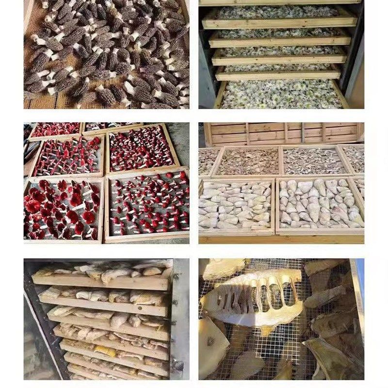 家用笋干罗汉果红薯辣椒菌菇羊肚菌子花粉烧柴火烘干机辣椒蘑菇,机械设备,干燥机/干燥箱/烘干机,淘宝优惠券,粉丝福利购,淘宝优惠卷