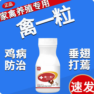 禽一粒片正品养鸡病防治专用家禽小鸡鸭鹅感拉咳冒嗽稀特效救命药