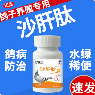 雄牧沙肝肽正品赛信鸽子专用调理肠道腹拉泻水绿稀便缩头炸毛特效