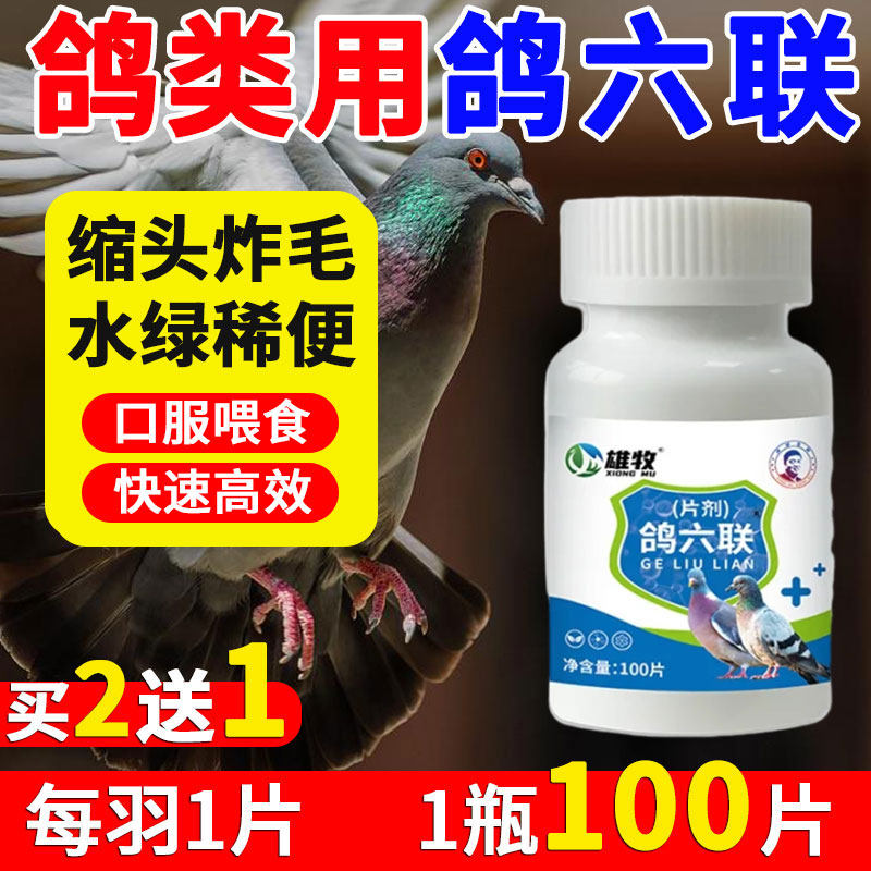 雄牧鸽六联片鸽子专用药大全正品病毒水绿稀便歪头甩食缩头炸毛药