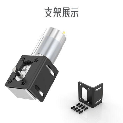 5840-555双轴蜗轮蜗杆直流减速电机12V24V低速调速金属齿轮马达