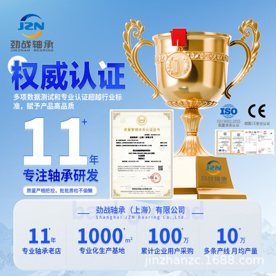 氧化锆满球陶瓷轴承6007 6008 6009 6010 6015 6012 6013 6014CEF