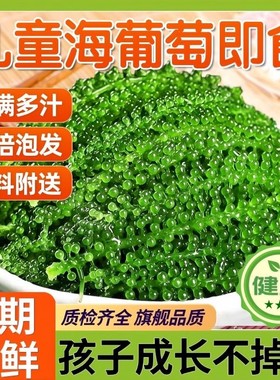 儿童海葡萄绿色鱼子酱网红即食健康营养新鲜泡发零食休闲海洋蔬菜