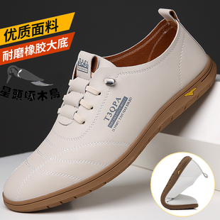 100%全牛皮星头啄木鸟男鞋2025秋季男士真皮运动休闲皮鞋小白鞋男