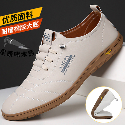 100%全牛皮星头啄木鸟男鞋2025秋季男士真皮运动休闲皮鞋小白鞋男