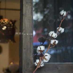 酒店橱窗摆设花束民宿装 天然干枝棉花树枝干花家居服装 饰摆拍搭配