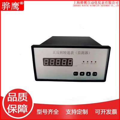 FZS-045-02-03智能反转速表 反转速监测保护仪汽轮机转速监控仪