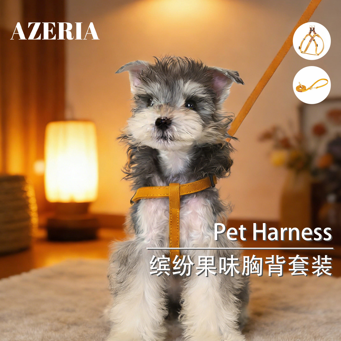 AZERIA宠物狗狗猫咪通用芒果黄工字防挣脱麂皮绒胸背带牵引绳套装