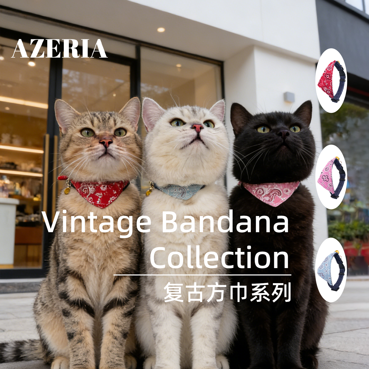 AZERIA宠物猫咪三角巾项圈腰果花复古颈饰口水巾可调节安全扣脖圈
