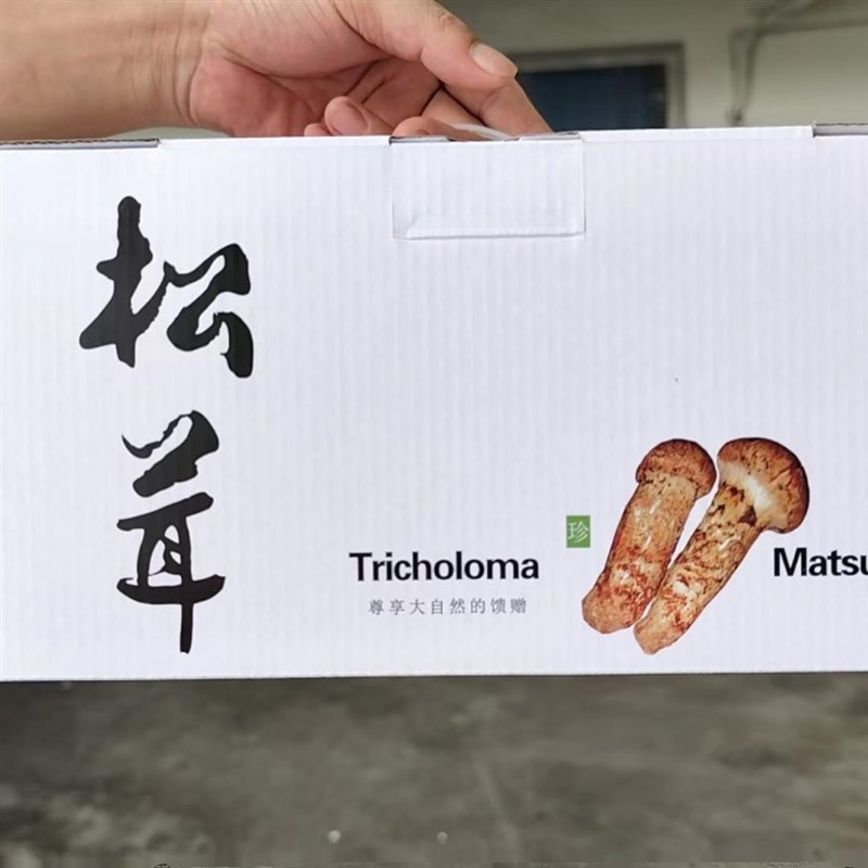 热销2024  白色新款1公斤鲜松茸包装盒手提盒精T品礼盒泡沫盒空盒