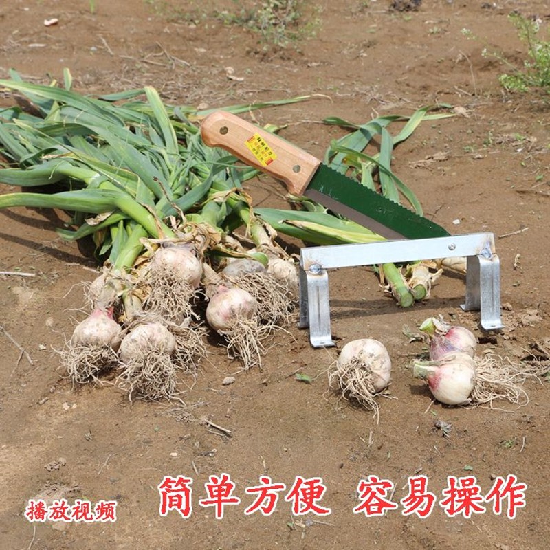 热销剪大蒜专用剪子特快工具 x剪蒜机剪蒜根须新款刀铡蒜头神器