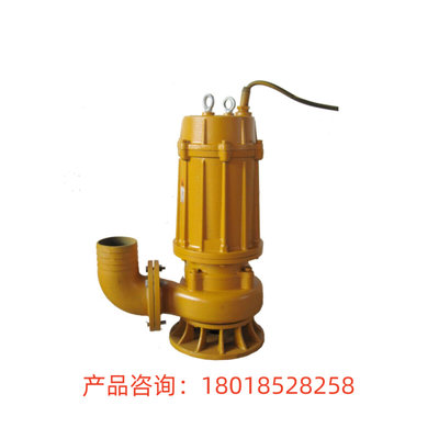 上海一沪 AS30-2CB潜水泵 AS型撕裂式潜水排污泵