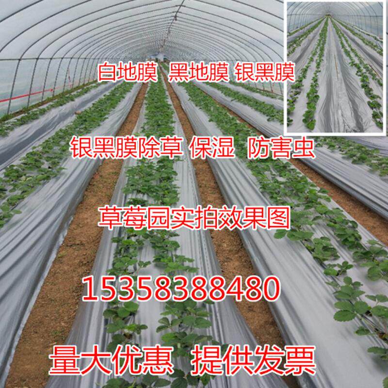 果园反光地膜农用银黑地膜黑白地膜蔬菜草莓防草保湿塑料透明薄膜