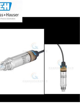 FTW33 FTW23 FMI21 FMI51 FMI52 FTI FTI52 FTI55  限位开关 E+H