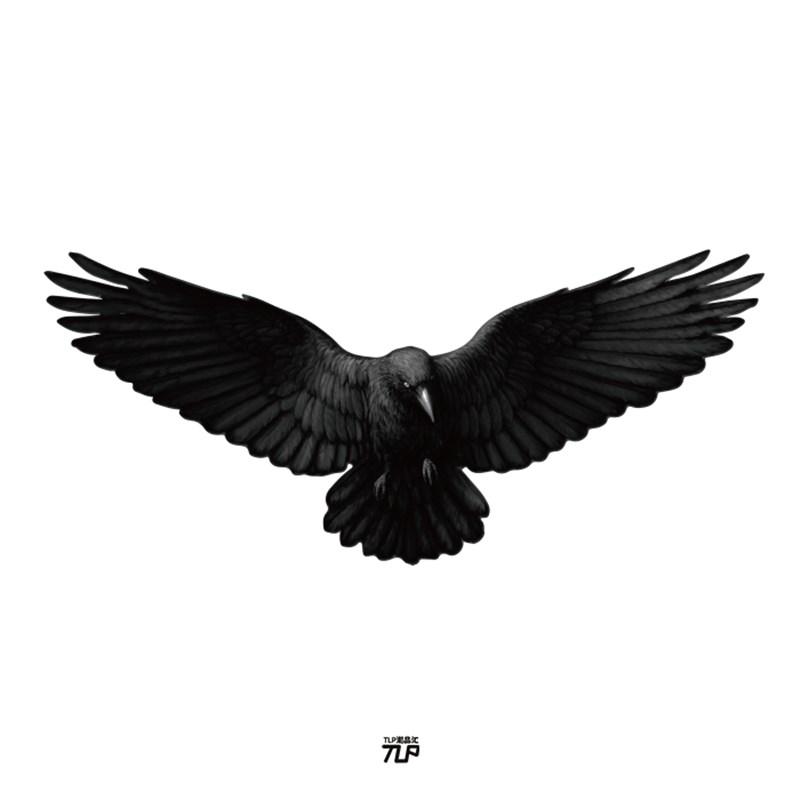 TLP反光车贴  飞翔的乌鸦暗黑飞禽鸟动物摩托车机车电动车贴纸