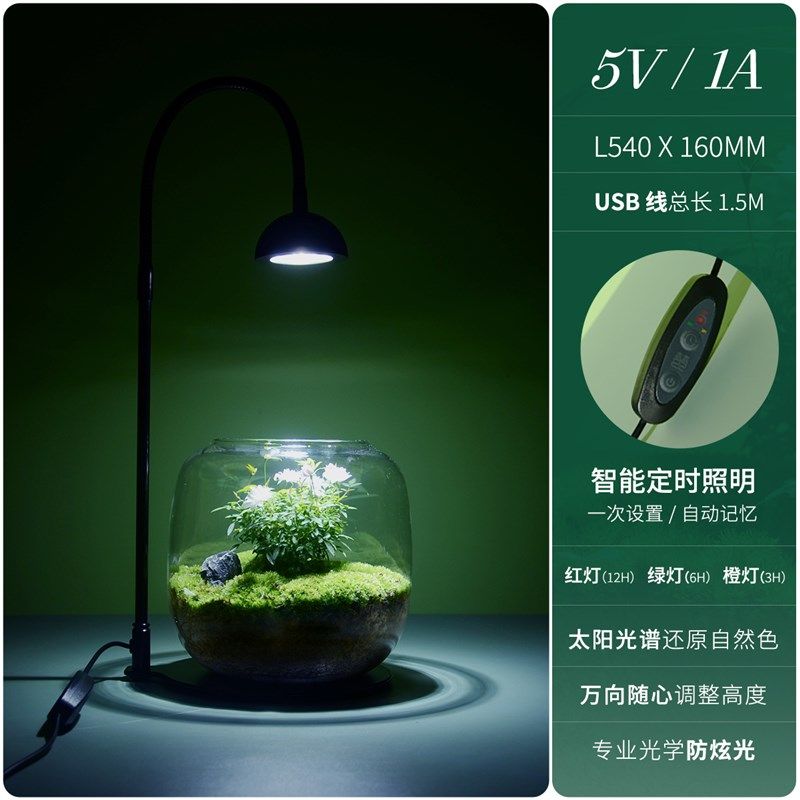 【玻璃瓶里的小花园】苔藓微景观花解压桌面鲜活绿植生态情侣礼物