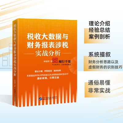 税收大数据与财务报表涉税实战分析 李先琴 著 智税大比武 税收数据分析 财务报表稽查
