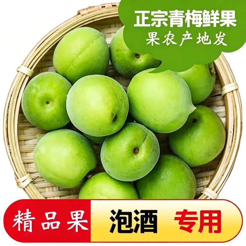 2026青梅新鲜青梅果泡酒青竹梅现摘高山现摘现发青梅水果