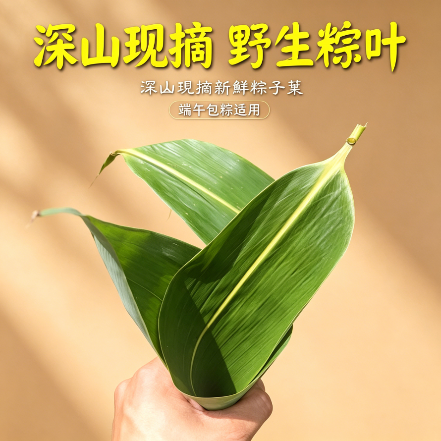 端午佳节现摘粽子叶无添加剂节日美食家用大叶大宽现摘叶真空包装商用新鲜粽叶粽香浓郁包粽子节日美食家用大叶大宽现摘叶真空包装