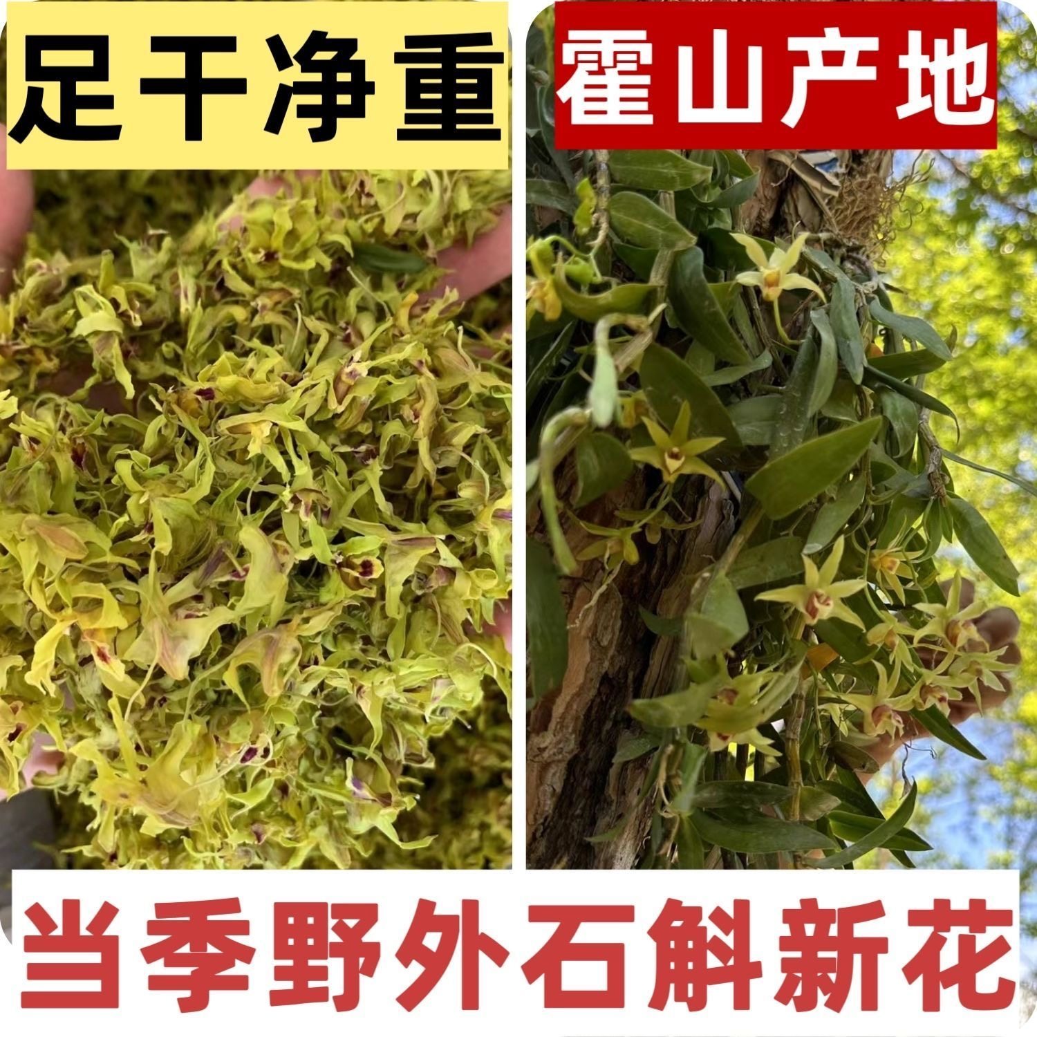 减肥茶刮油茶去湿气排油头采霍山石斛花新鲜干花石斛茶正宗铁皮花名贵代用茶花草茶自律人士日常养生茶饮冲泡方便即泡即饮超省心​