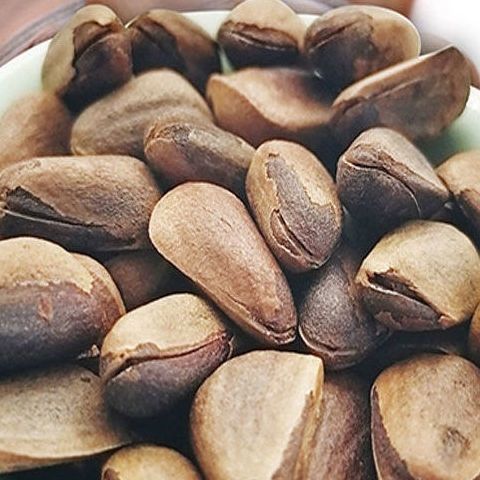 新货东北开口松子红松子黑松子开口的松子孕妇坚果袋装净重500g