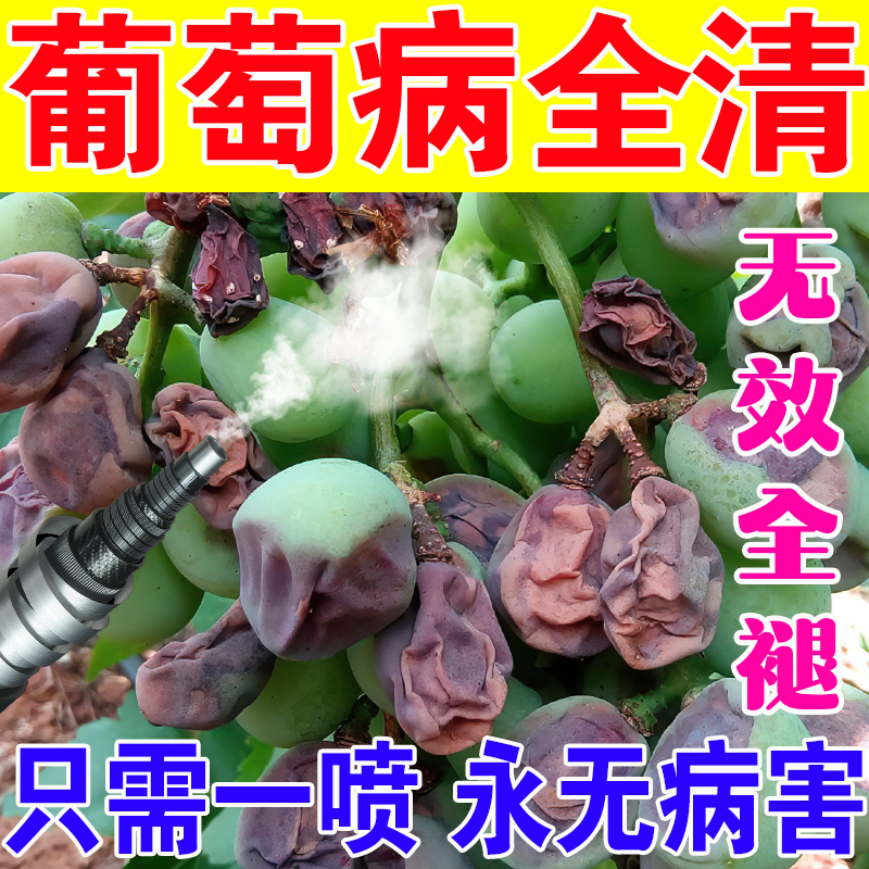 葡萄树专用药病全治除菌剂